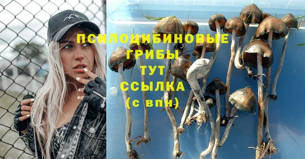 каннабис Надым