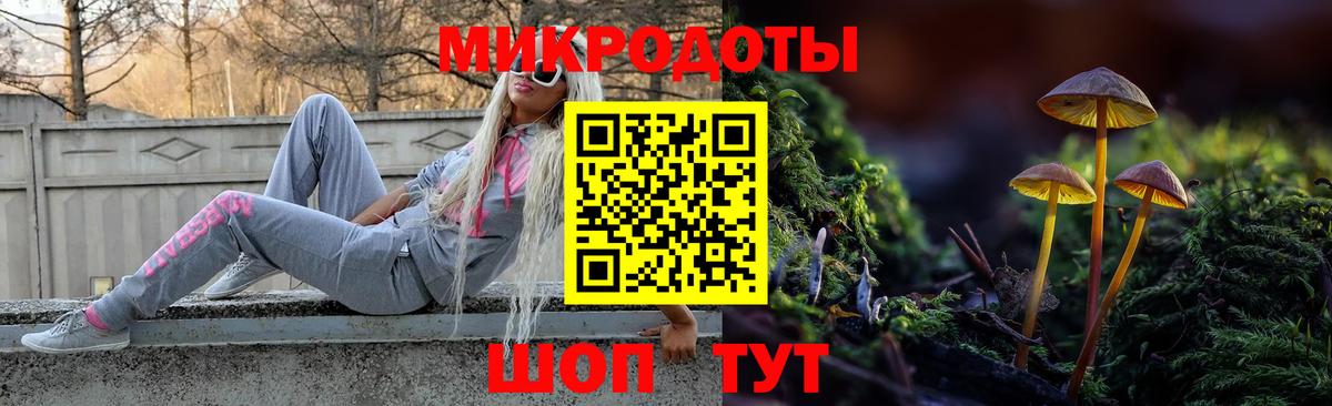 Галлюциногенные грибы мухоморы Раменское