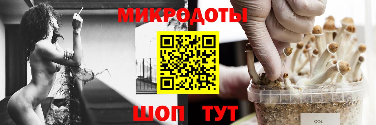 Галлюциногенные грибы Psilocybe  Псилоцибиновые грибы ЛСД  Раменское  как найти наркотики  Вход с VPN 